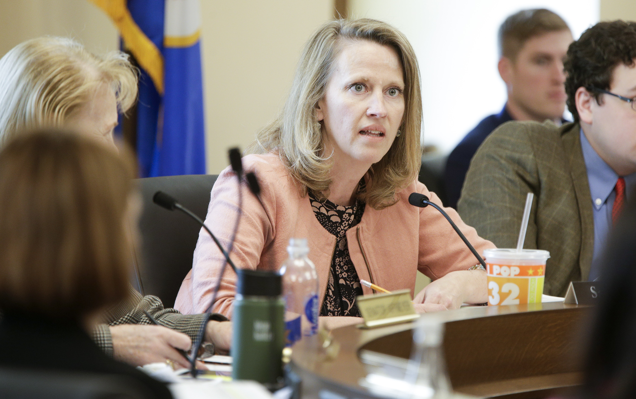 Rep. Sarah Anderson, co-chair of the omnibus state government finance conference committee, asks a question during the May 2 meeting. Photo by Paul Battaglia