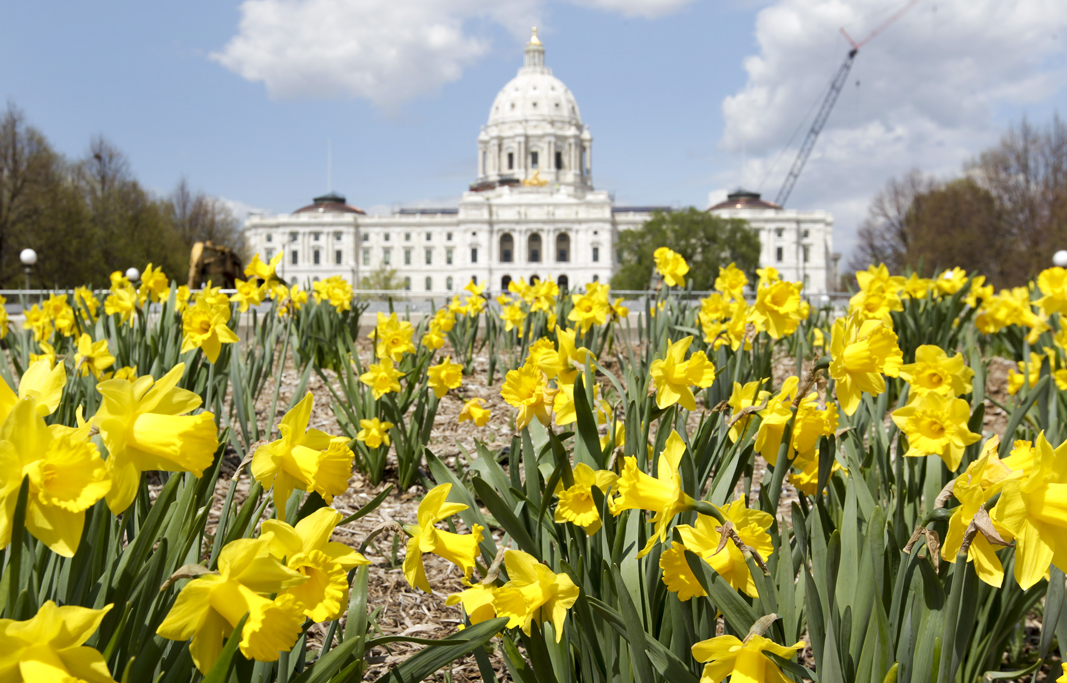 The State Capitol pictured May 3. House Photography file photo