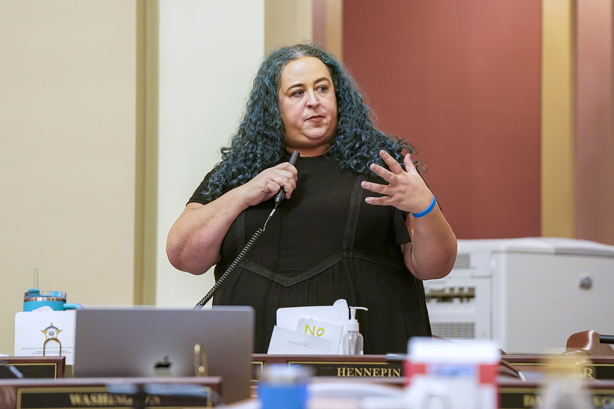 Rep. Aisha Gomez introduces the supplemental tax bill May 3 on the House Floor. (Photo by Michele Jokinen)