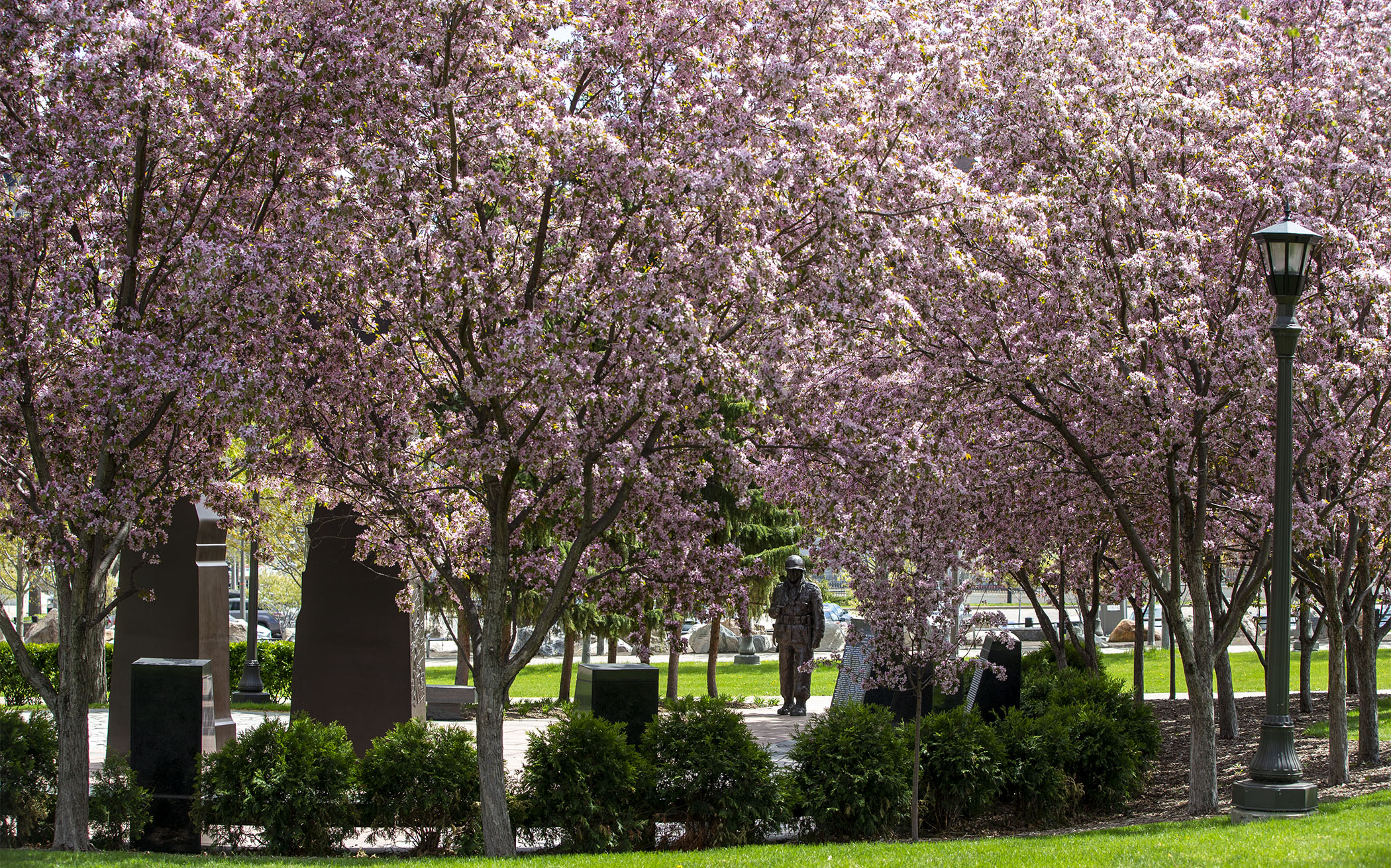 The silent sentinel stands among the spring blooms of flowering crabapple trees at the Minnesota Korean War Veterans Memorial on the Capitol Mall May 4. Photo by Paul Battaglia 
