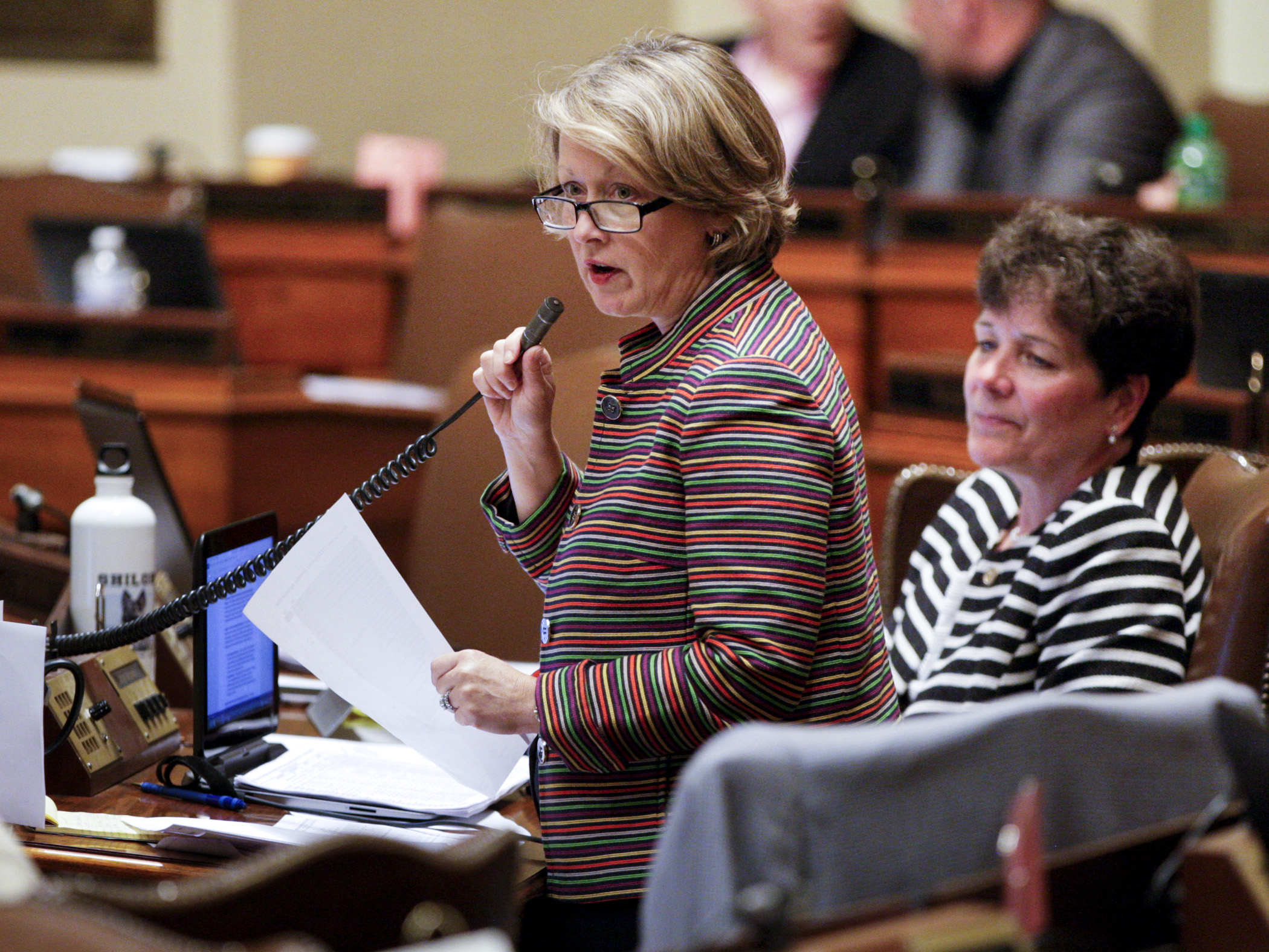 Rep. Jenifer Loon, chair of the House Education Finance Committee, explains provisions of the conference committee report on HF844 during floor debate May 18. Photo by Paul Battaglia