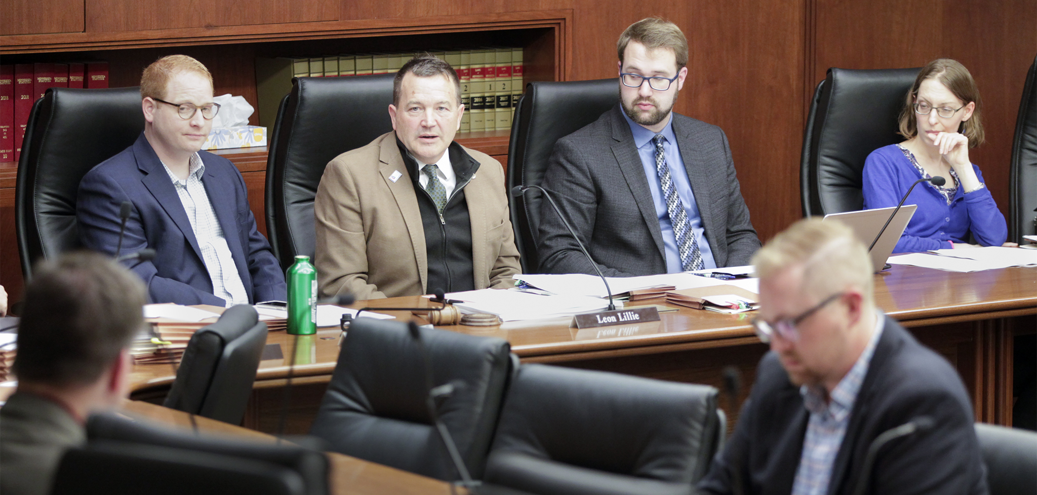 Rep. Leon Lillie, chair of the House Legacy Finance Division, makes opening comments May 22 as the division has an informational hearing on what is expected to become the omnibus legacy bill. Photo by Paul Battaglia