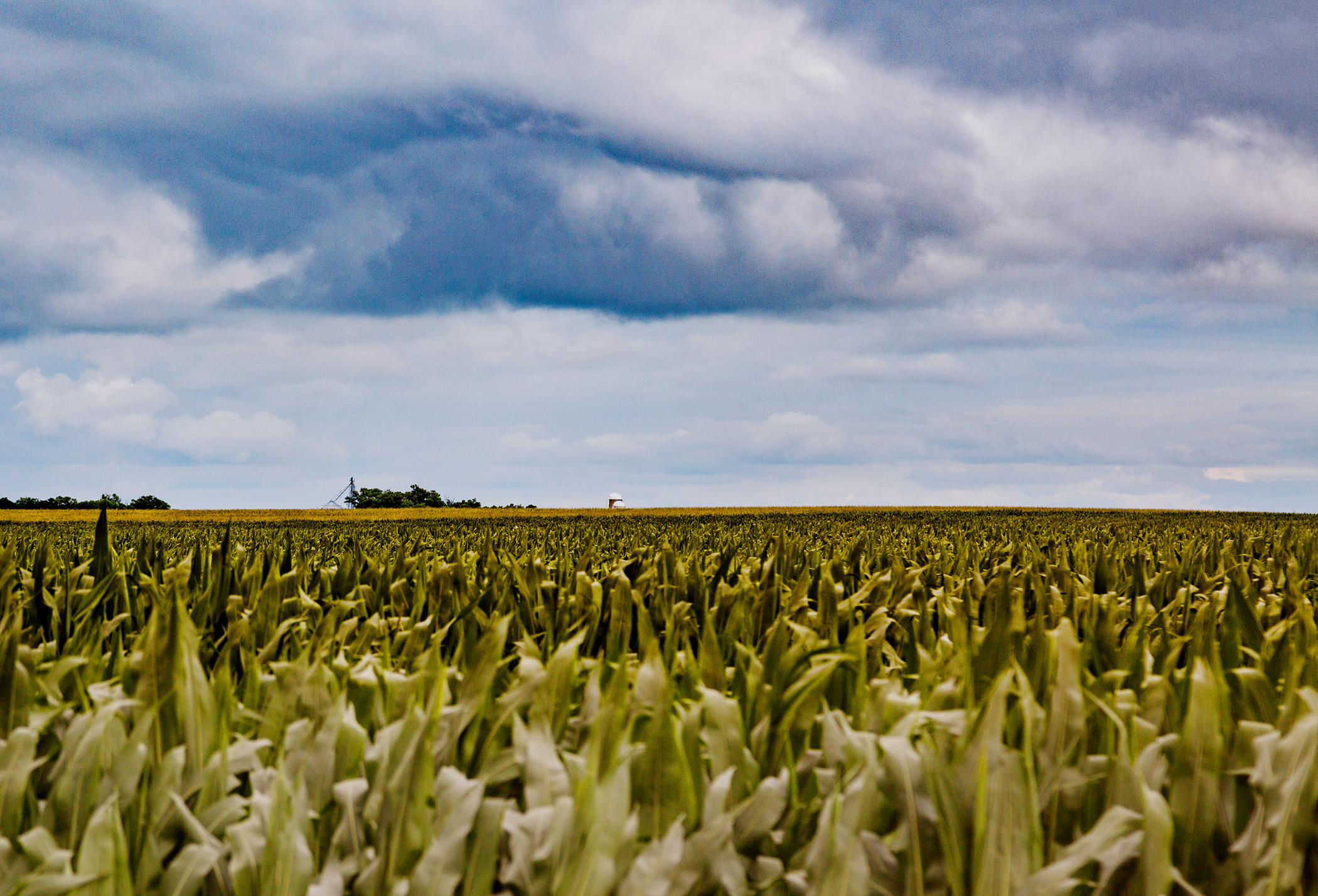 A farm field near Fairfax. Photo by Tony Webster from Minneapolis, Minnesota (Endless Farm Field, Fairfax) [CC BY-SA 2.0 (https://creativecommons.org/licenses/by-sa/2.0)], via Wikimedia Commons