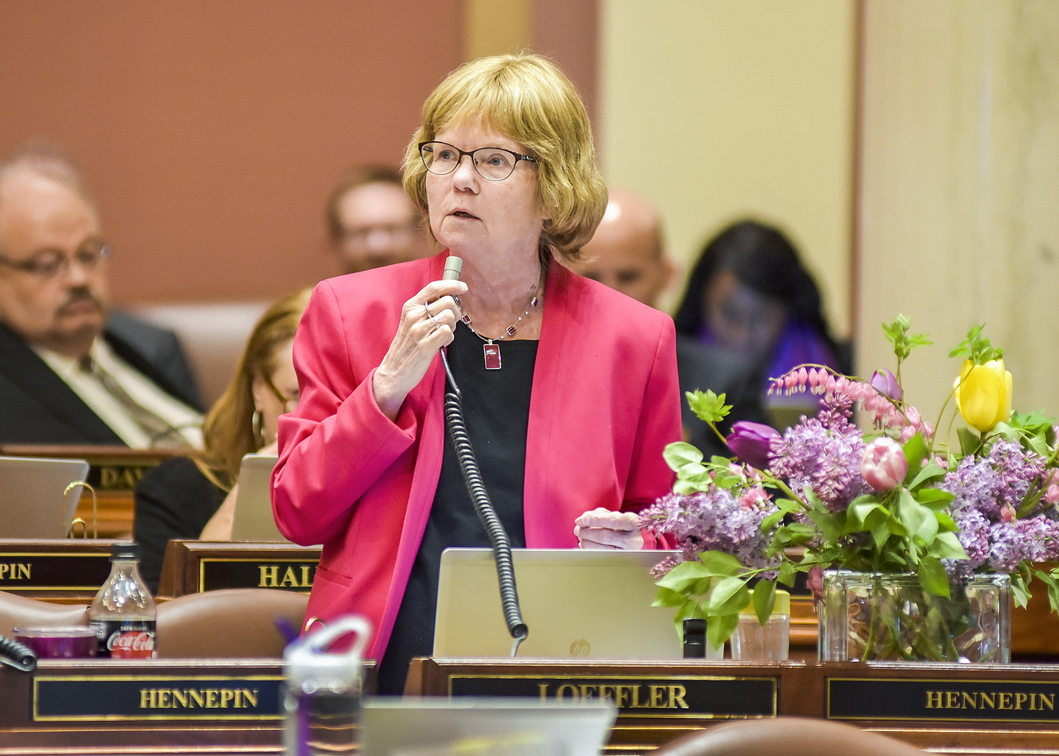 Rep. Diane Loeffler, pictured on the House Floor in 2018. Photo by Andrew VonBank