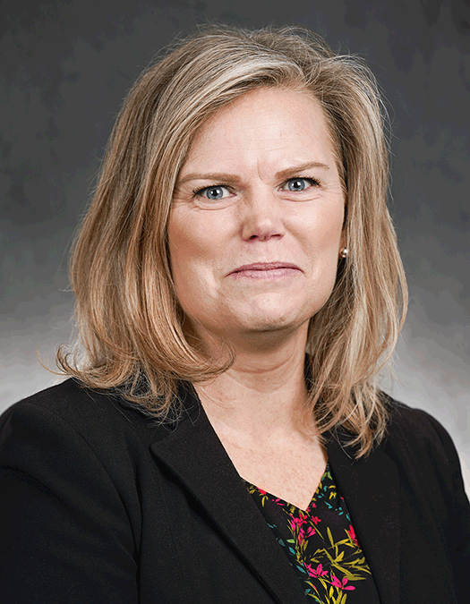 Rep. Anne Neu Brindley Photo